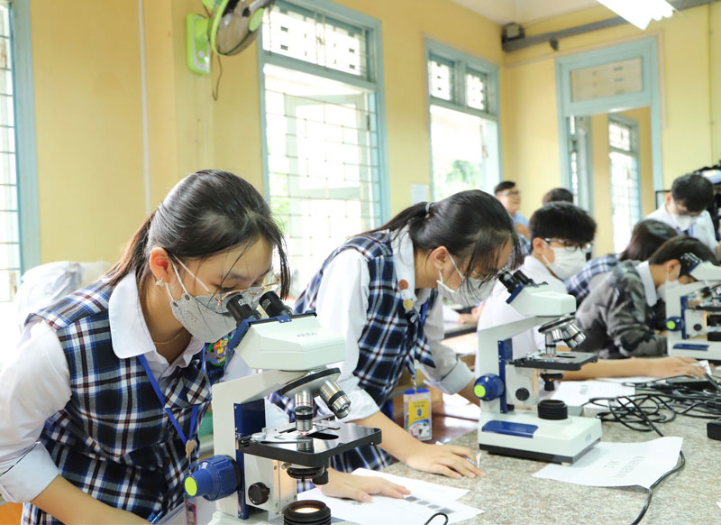 Chương trình trung học
