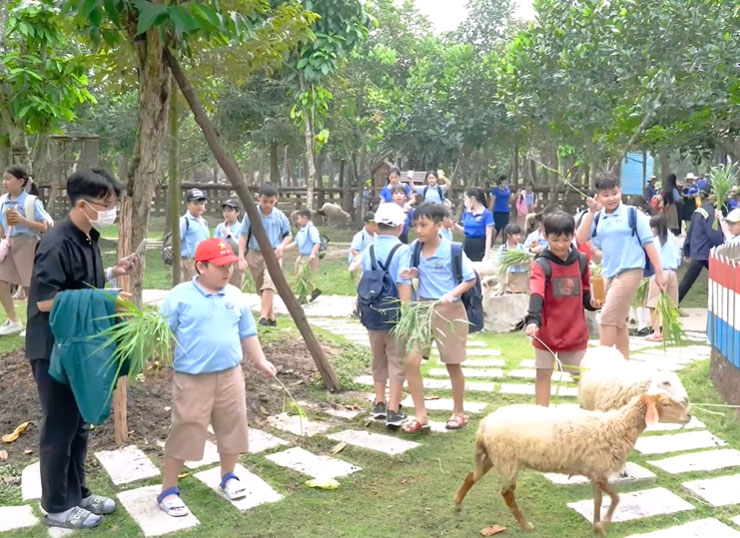 Học sinh trường phổ thông Thái Bình Dương trải nghiệm ngoại khóa
